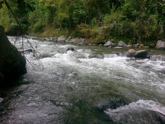 El Valle del Cauca no presenta situaciones críticas ocasionadas por lluvias
